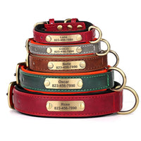 Personalisiertes Hundehalsband mit Gravur – PU-Leder, Namensschild & ID-Tag Bild 6