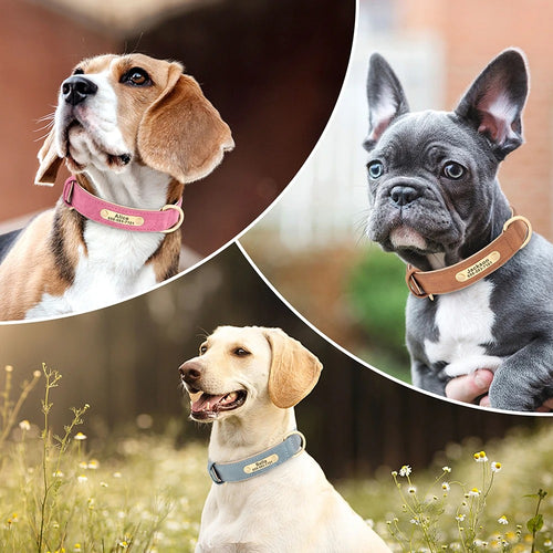 Personalisiertes Hundehalsband mit Gravur – PU-Leder, Namensschild & ID-Tag